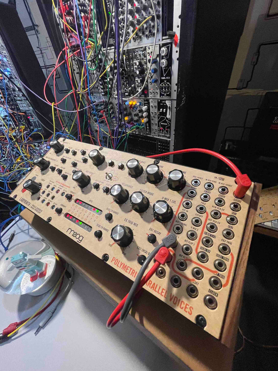 鍵盤楽器 Moog Labyrinth Amazon.com: MOOG Labyrinth - Semi-Modular Parallel