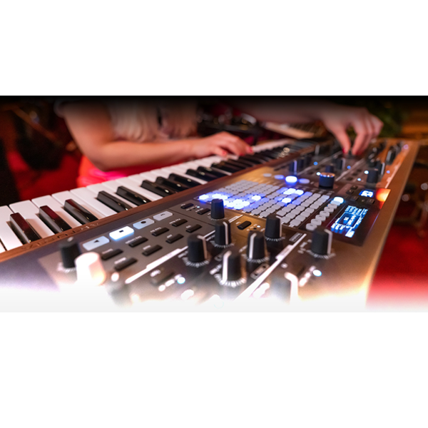 PolyBrute