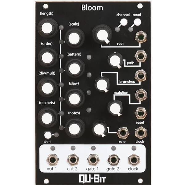 Bloom