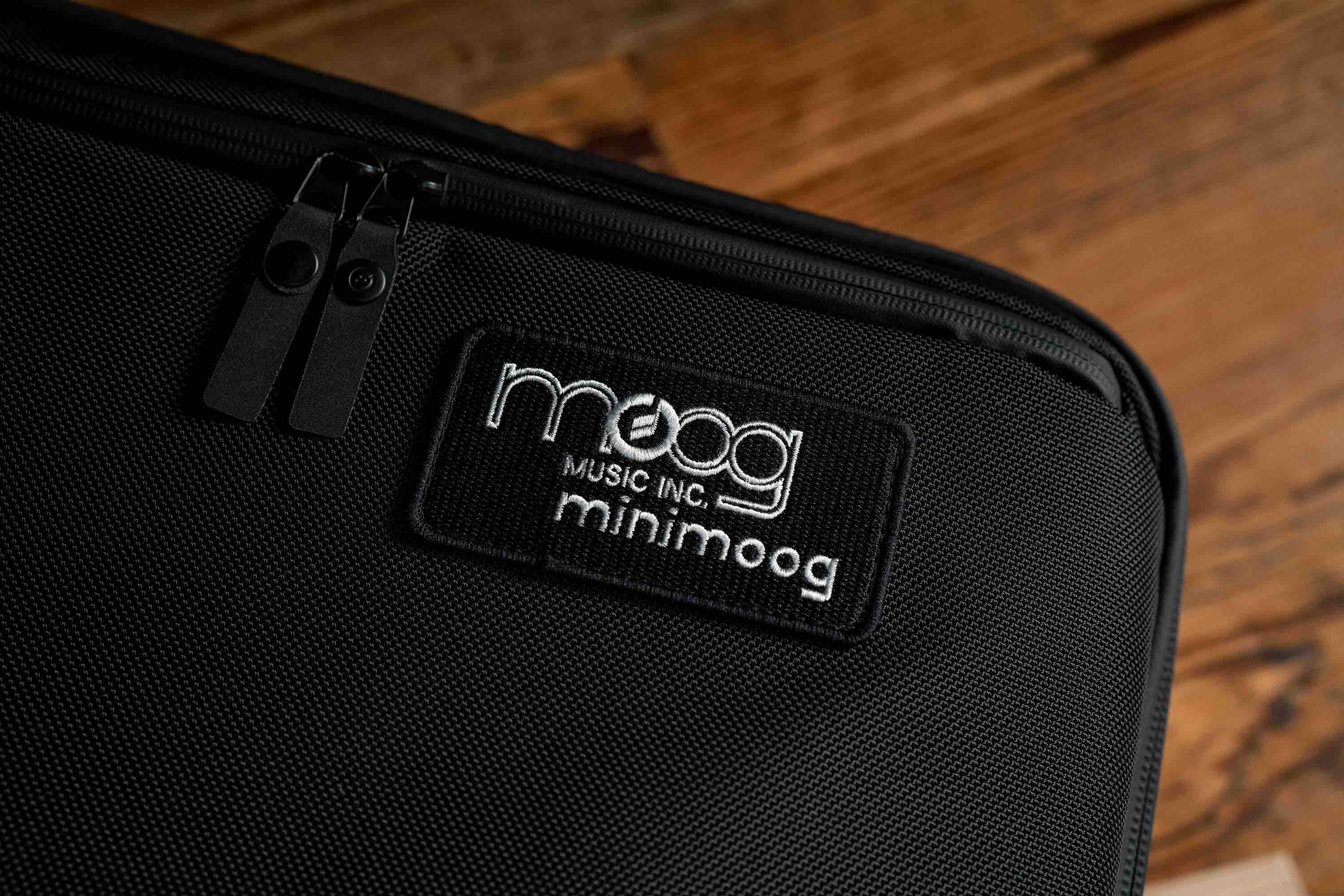 Minimoog Model D SR Series Case