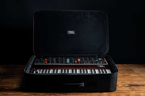 Minimoog Model D SR Series Case