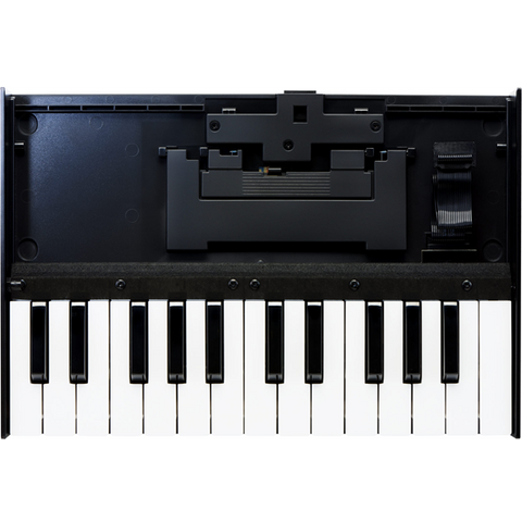K-25m Roland Boutique Keyboard
